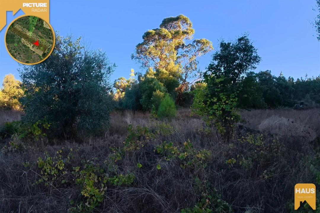 Terreno Agricola ou Rústico para Venda em Freixial e Juncal do Campo Foto 12