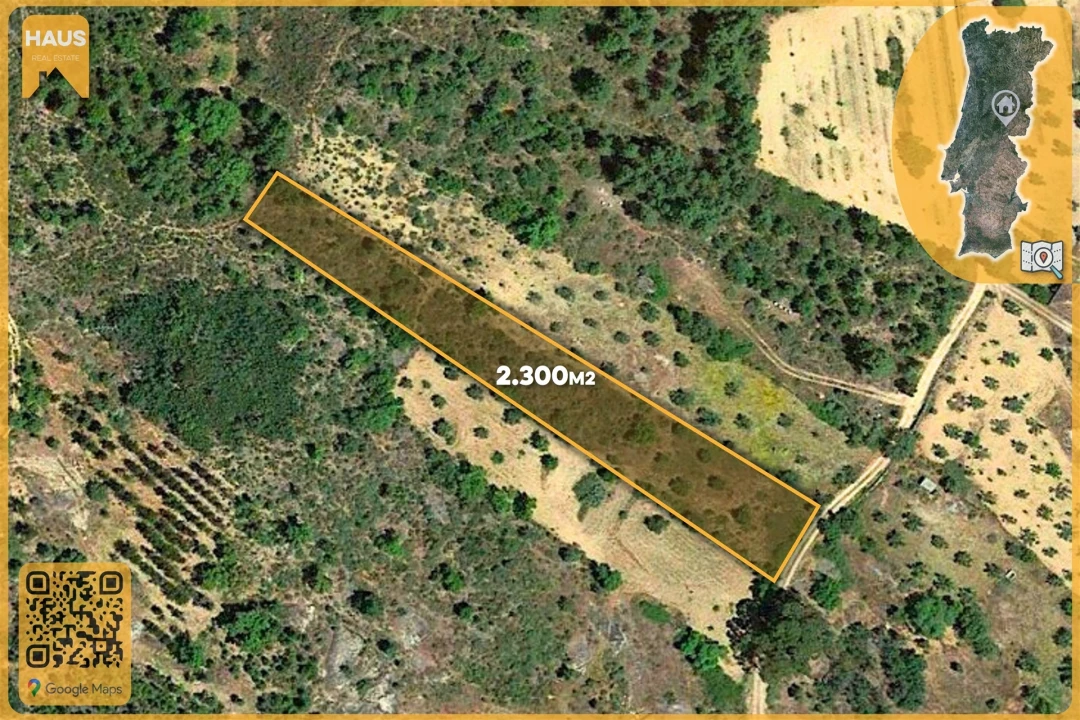 Terreno Agricola ou Rústico para Venda em Freixial e Juncal do Campo Foto 2