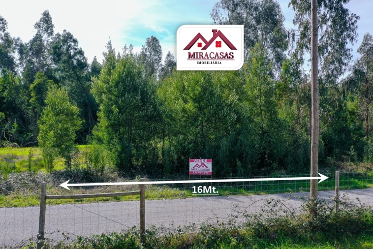 Terreno Agricola ou Rústico para Venda em Mira Foto 3