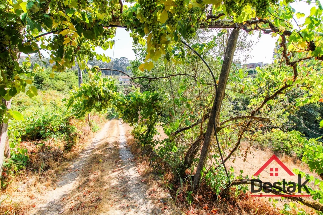 Quinta T3 para Arrendamento em Arcozelo das Maias Foto 36