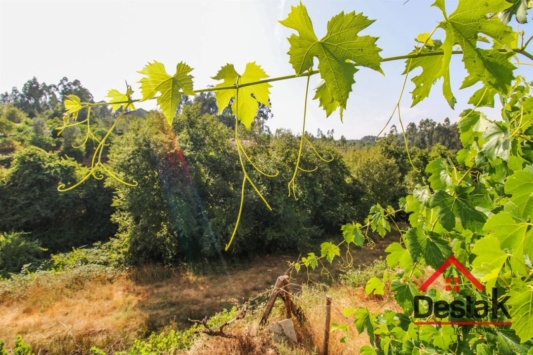 Quinta T3 para Arrendamento em Arcozelo das Maias Foto 40