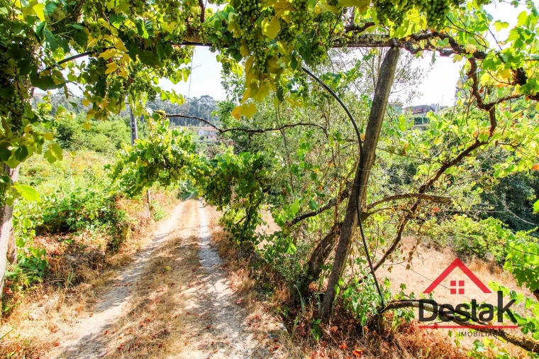 Quinta T3 para Arrendamento em Arcozelo das Maias Foto 36