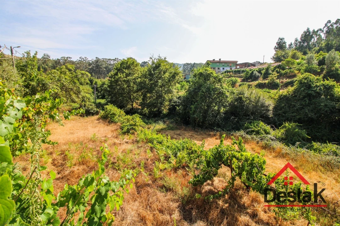 Quinta T3 para Arrendamento em Arcozelo das Maias Foto 39