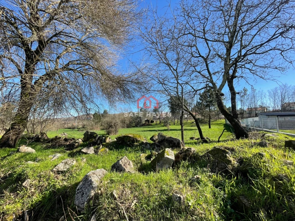 Terreno para Venda em Quintela de Azurara Foto 5