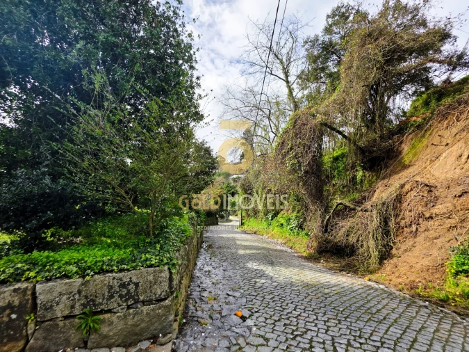 Moradia T2 para Venda em Alpendorada, Várzea e Torrão Foto 30