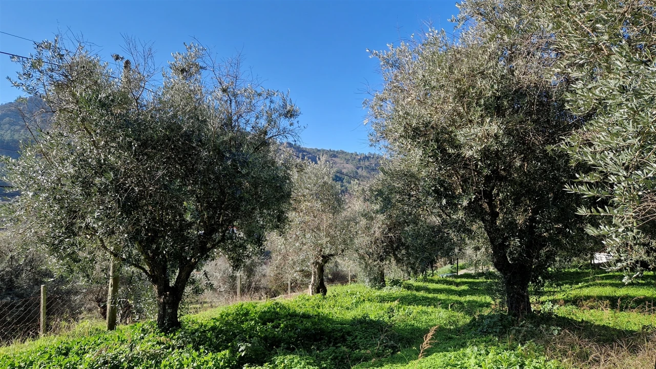 Moradia T6 para Venda em Santiago Maior Foto 34