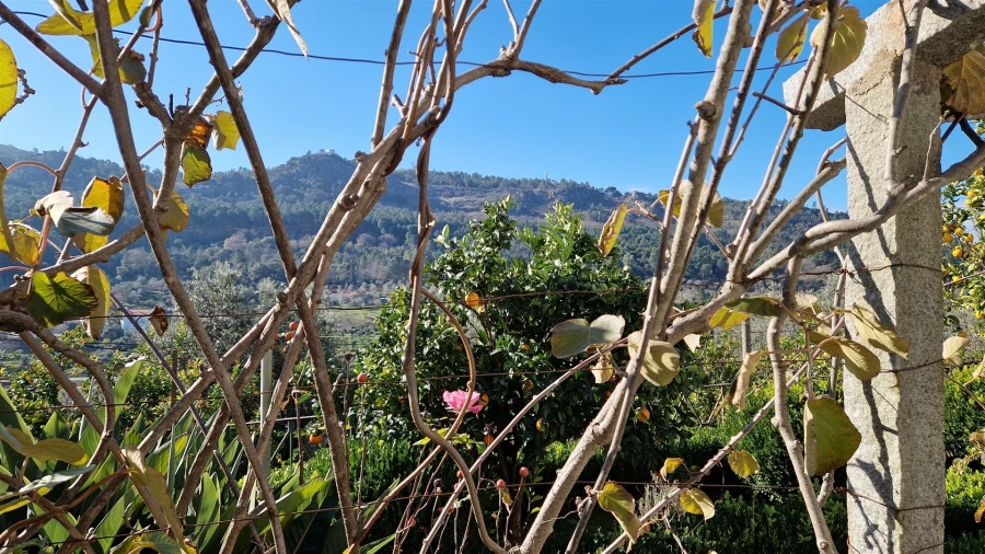 Moradia T6 para Venda em Santiago Maior Foto 30