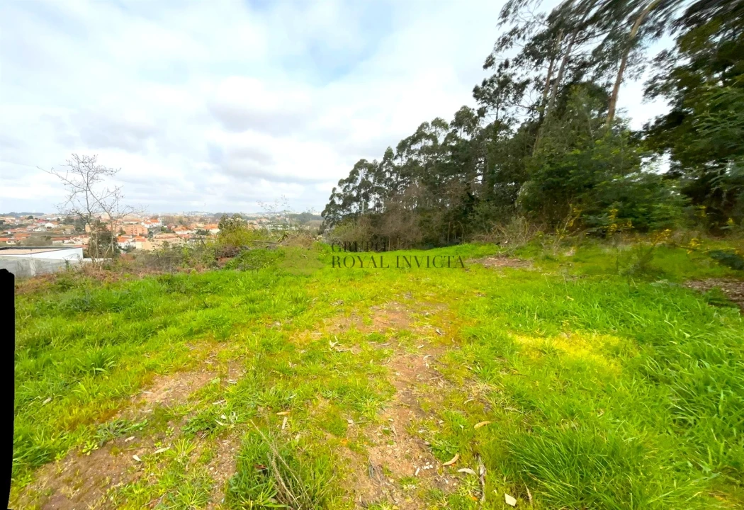 Terreno para Venda em Gulpilhares e Valadares Foto 7