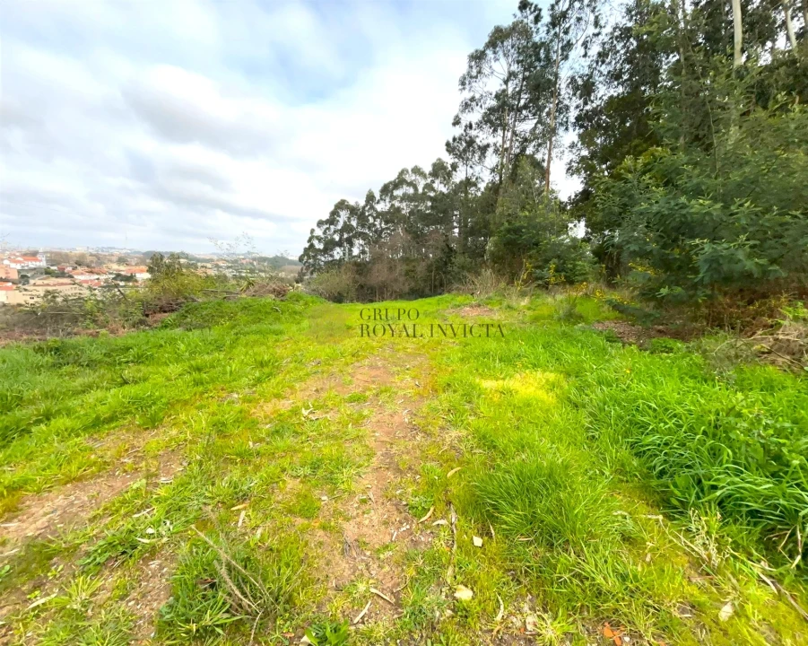 Terreno para Venda em Gulpilhares e Valadares Foto 5