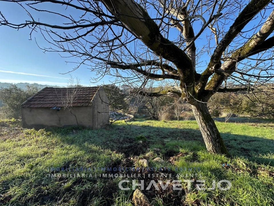 Quinta T2 para Venda em Além da Ribeira e Pedreira Foto 5