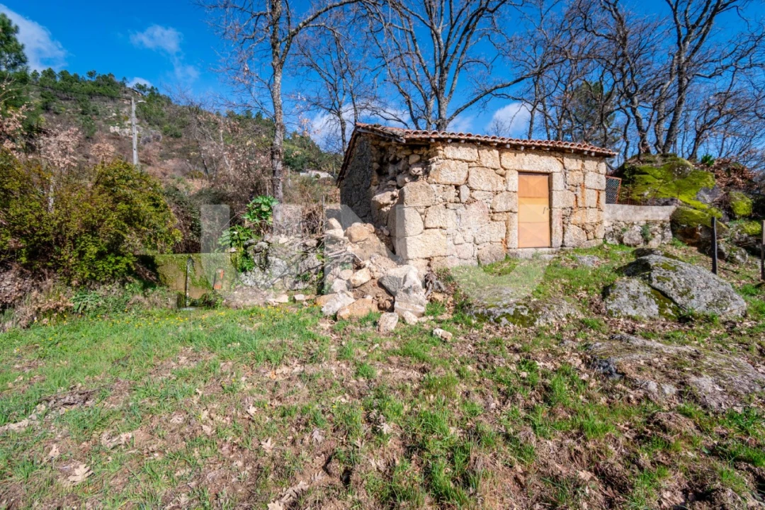 Quinta T2 para Venda em Orjais Foto 6