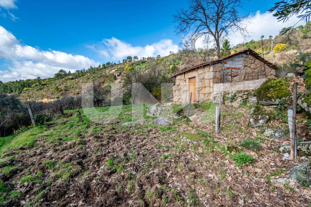 Quinta T2 para Venda em Orjais Foto 7