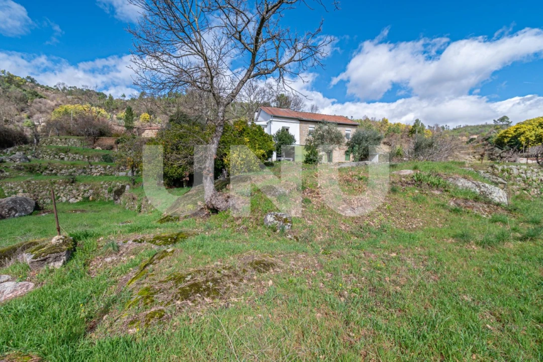 Quinta T2 para Venda em Orjais Foto 11