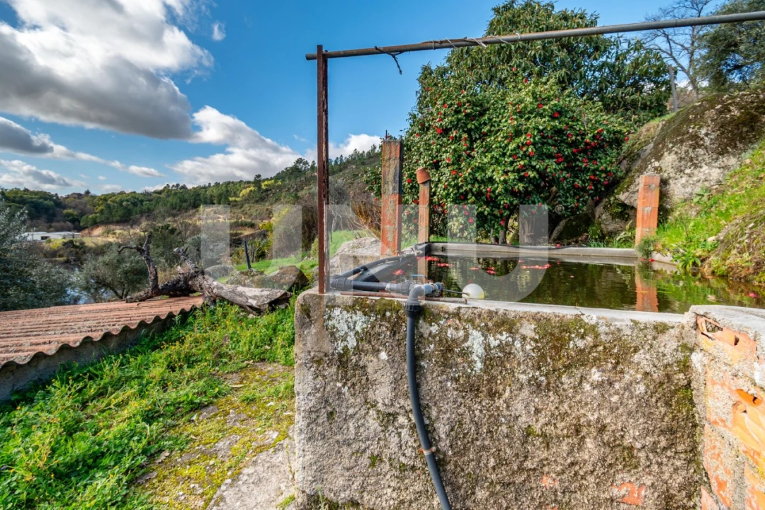 Quinta T2 para Venda em Orjais Foto 14