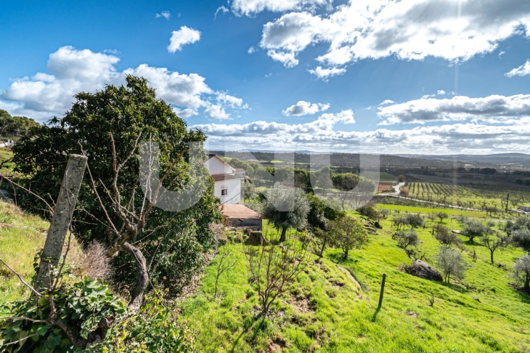 Quinta T2 para Venda em Orjais Foto 40