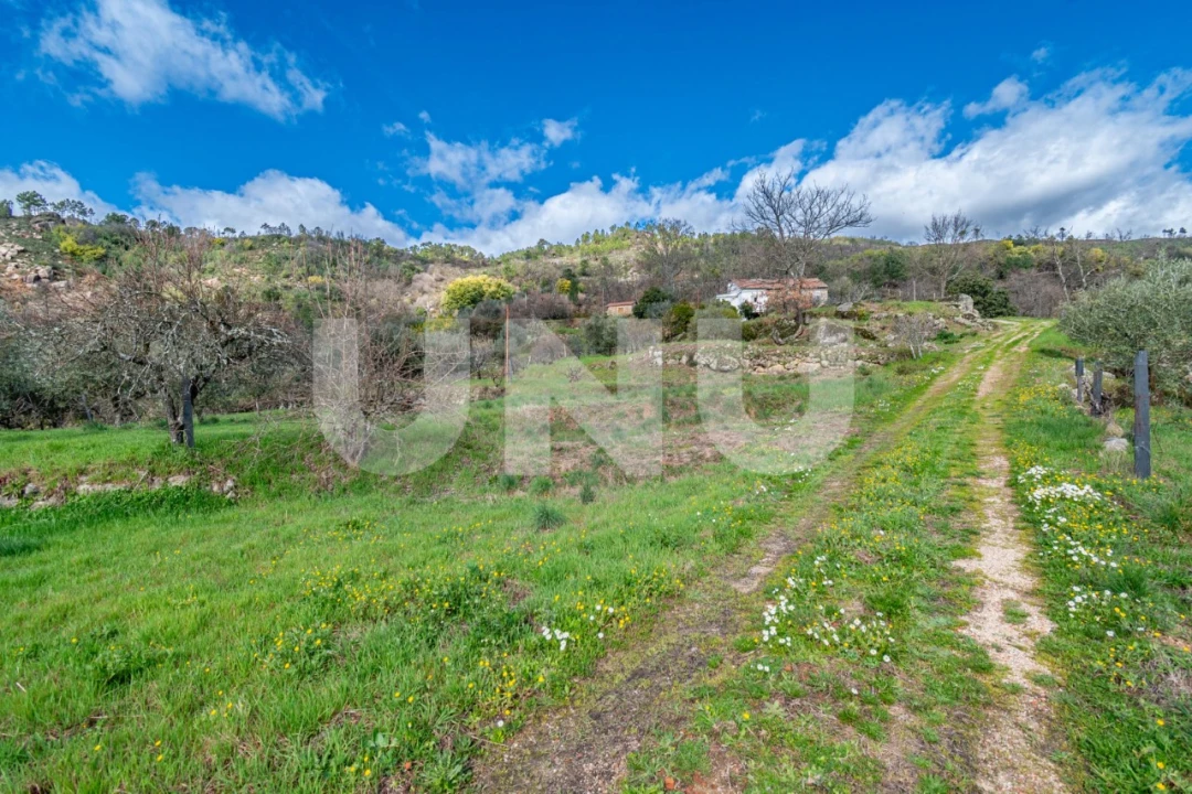 Quinta T2 para Venda em Orjais Foto 44