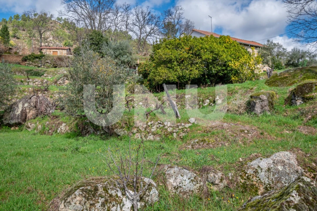 Quinta T2 para Venda em Orjais Foto 46