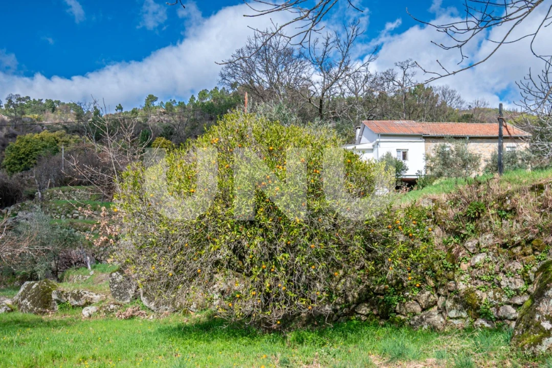 Quinta T2 para Venda em Orjais Foto 47