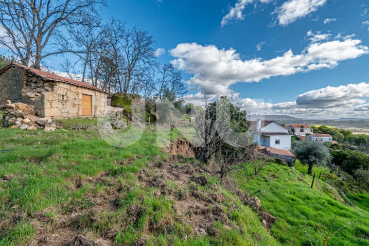 Quinta T2 para Venda em Orjais Foto 8