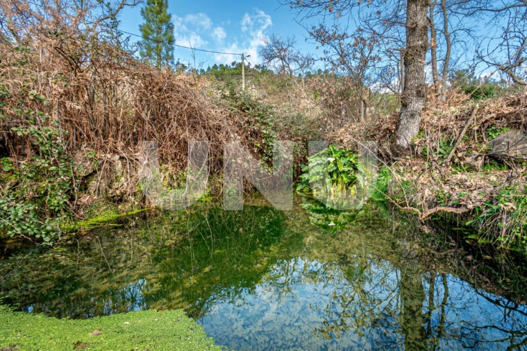 Quinta T2 para Venda em Orjais Foto 35