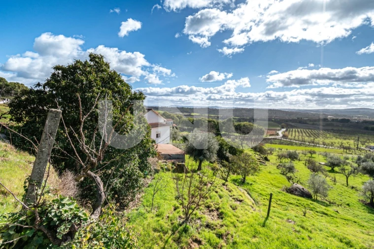 Quinta T2 para Venda em Orjais Foto 40