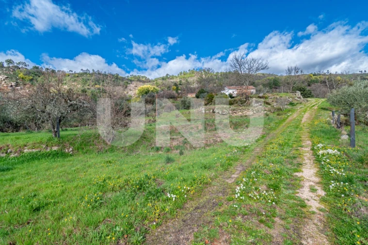 Quinta T2 para Venda em Orjais Foto 44