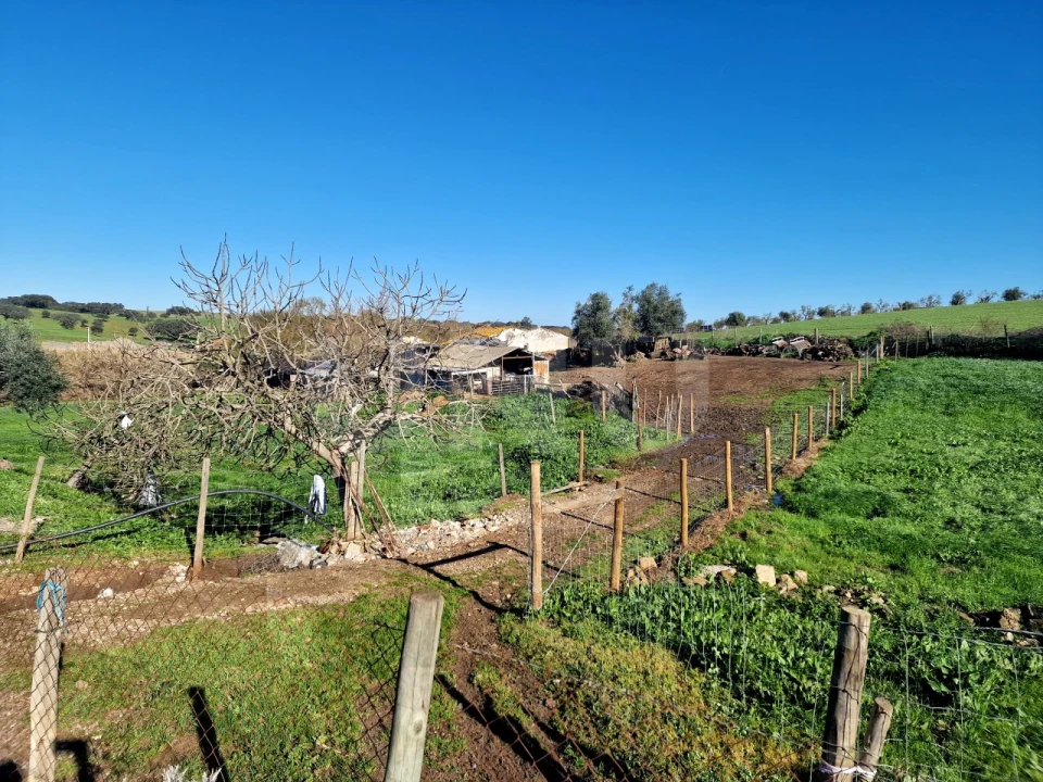 Quinta T3 para Venda em Monte do Trigo Foto 7