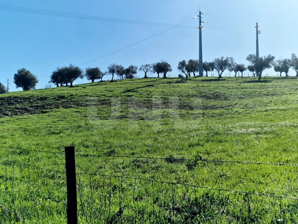 Quinta T3 para Venda em Monte do Trigo Foto 12