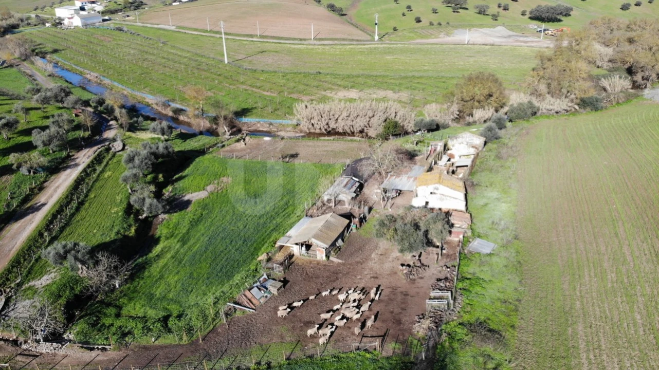 Quinta T3 para Venda em Monte do Trigo Foto 24