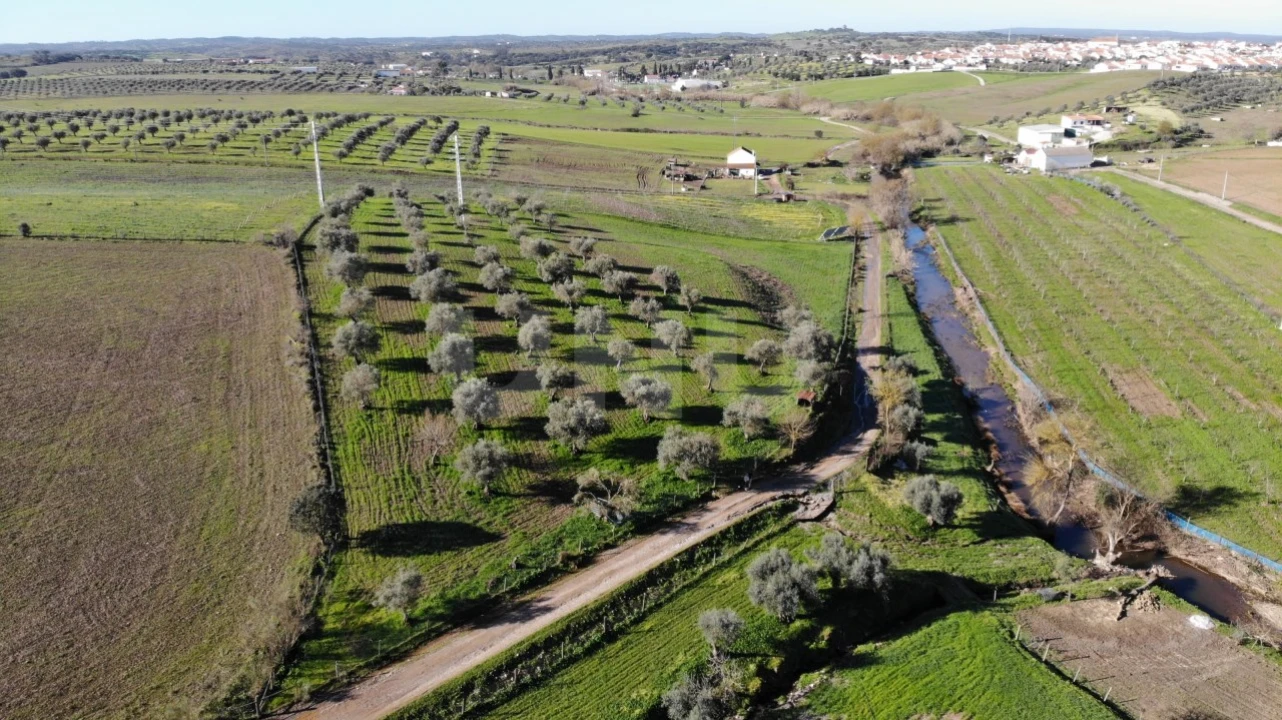 Quinta T3 para Venda em Monte do Trigo Foto 22