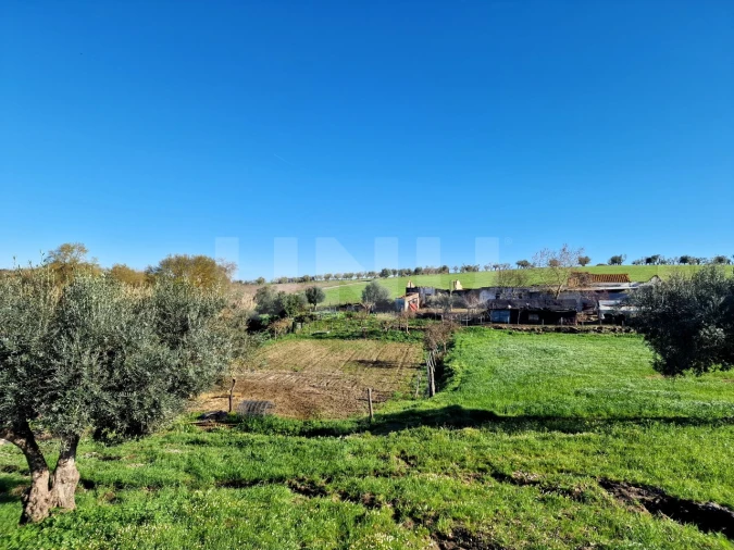 Quinta T3 para Venda em Monte do Trigo Foto 6