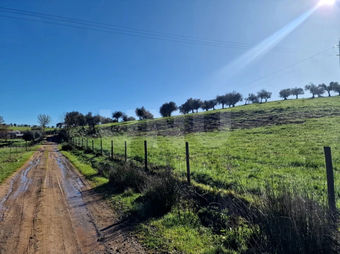 Quinta T3 para Venda em Monte do Trigo Foto 11