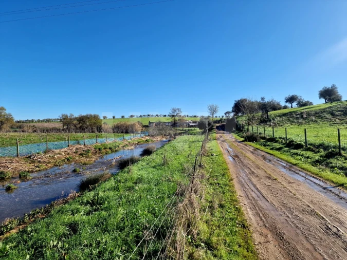 Quinta T3 para Venda em Monte do Trigo Foto 13