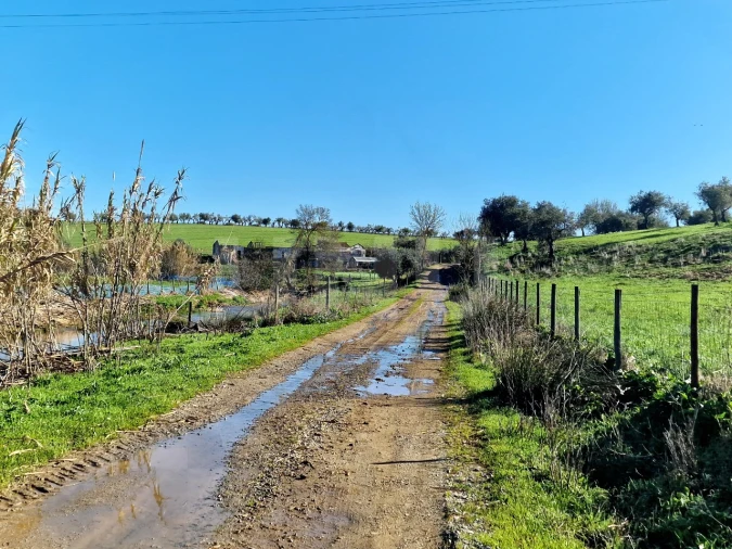 Quinta T3 para Venda em Monte do Trigo Foto 15