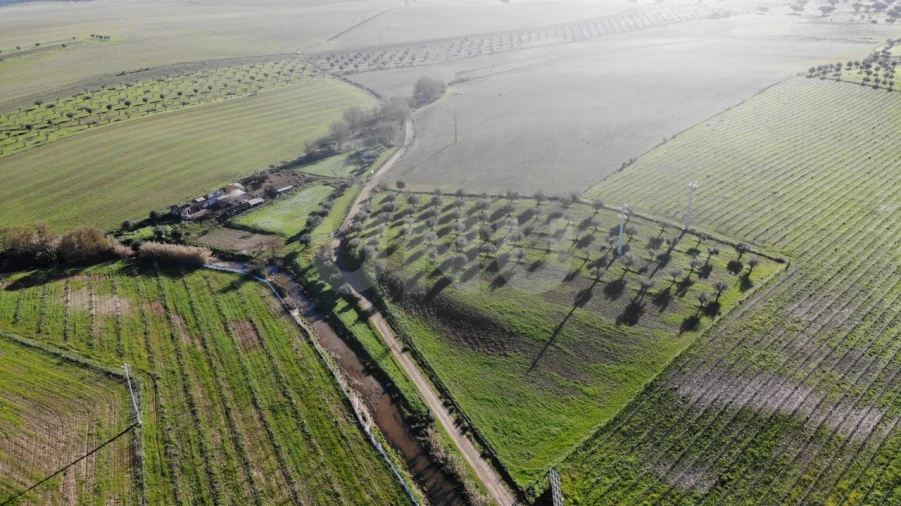 Quinta T3 para Venda em Monte do Trigo Foto 4