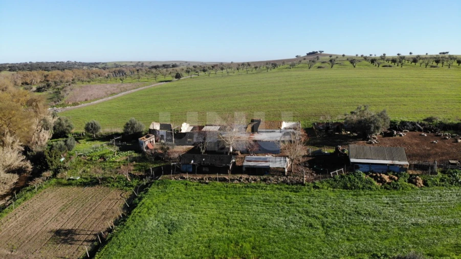 Quinta T3 para Venda em Monte do Trigo Foto 17