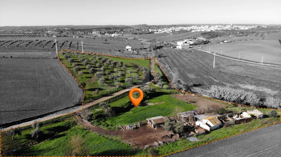 Quinta T3 para Venda em Monte do Trigo Foto 1