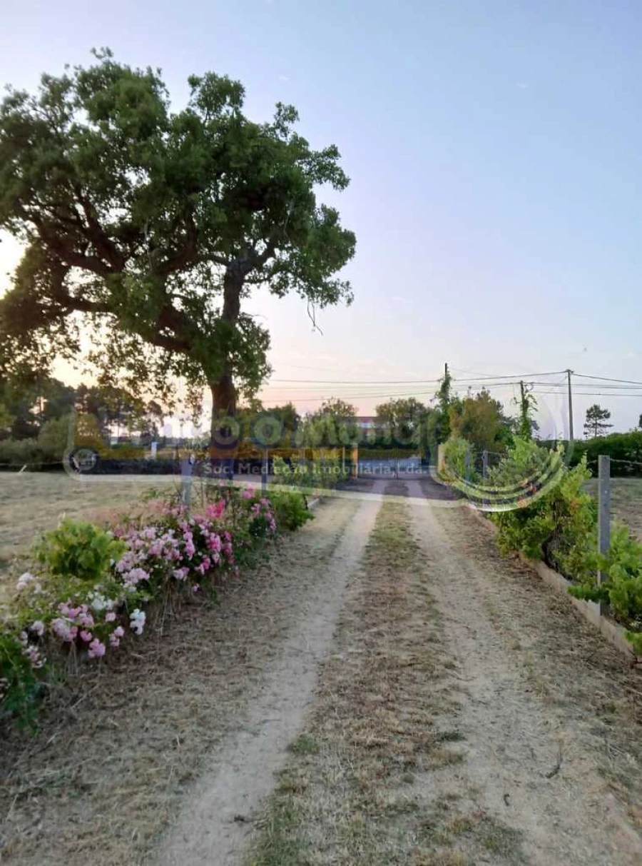 Moradia T2 para Venda em Benavente Foto 14