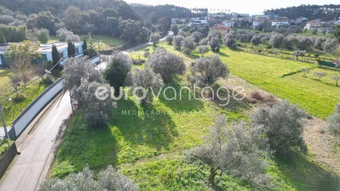 Terreno para Venda em Souto da Carpalhosa e Ortigosa