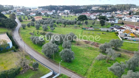 Terreno para Venda em Souto da Carpalhosa e Ortigosa