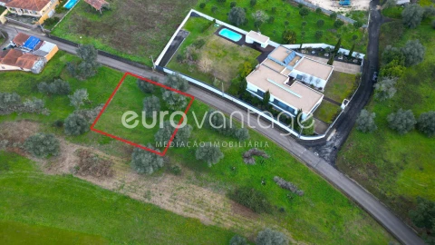 Terreno para Venda em Souto da Carpalhosa e Ortigosa