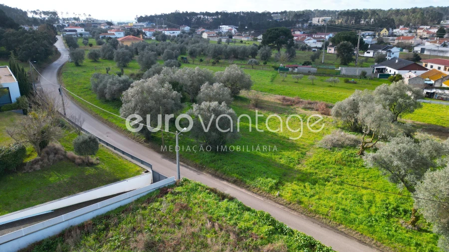 Terreno para Venda em Souto da Carpalhosa e Ortigosa Foto 4