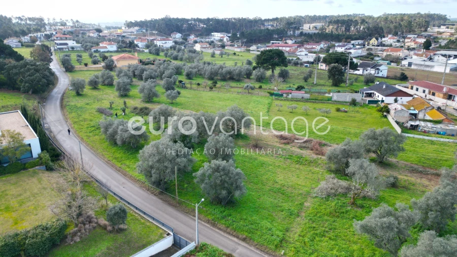 Terreno para Venda em Souto da Carpalhosa e Ortigosa Foto 3