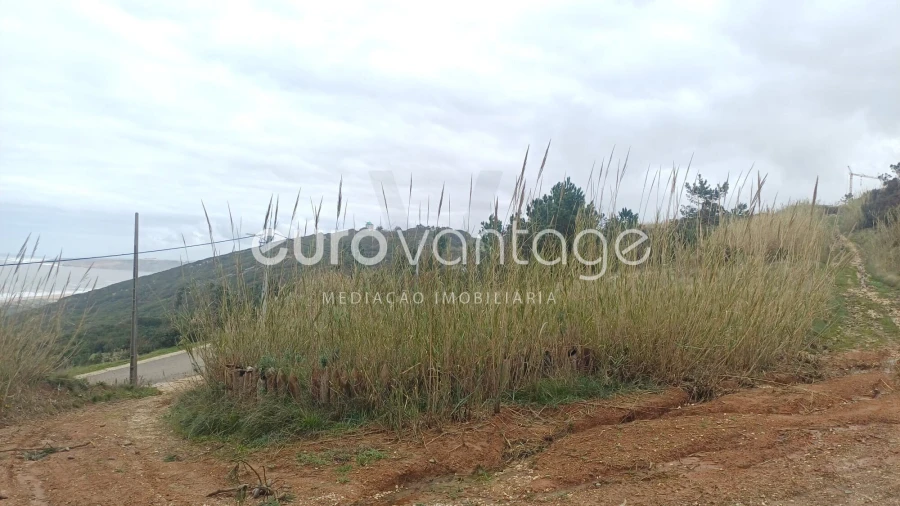 Terreno para Venda em Famalicão Foto 6