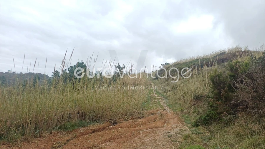 Terreno para Venda em Famalicão Foto 5