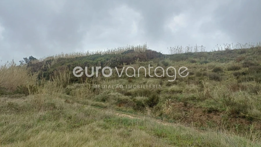 Terreno para Venda em Famalicão Foto 4