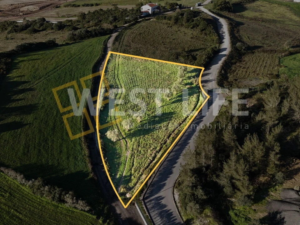 Terreno Agricola ou Rústico para Venda em Milharado Foto 2