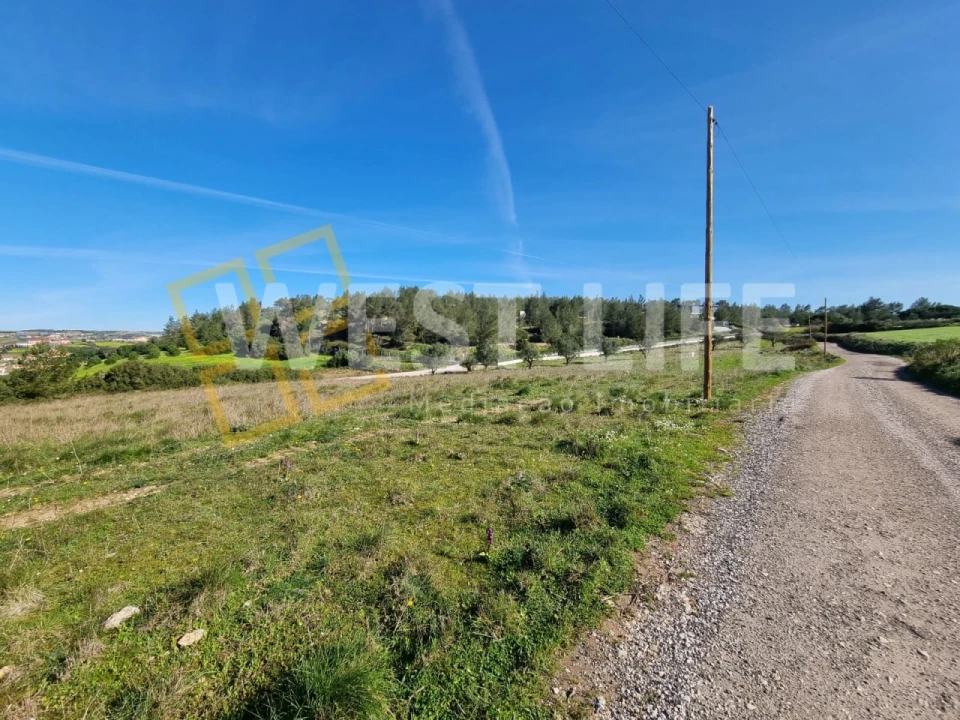 Terreno Agricola ou Rústico para Venda em Milharado Foto 5