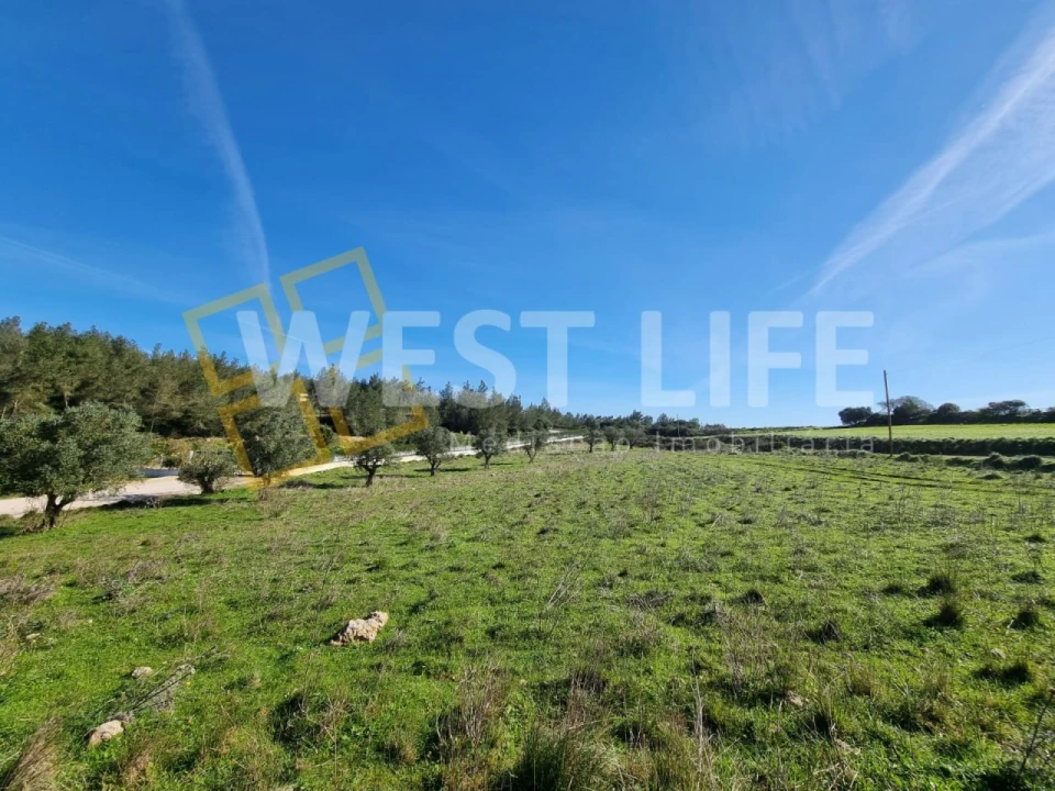Terreno Agricola ou Rústico para Venda em Milharado Foto 1