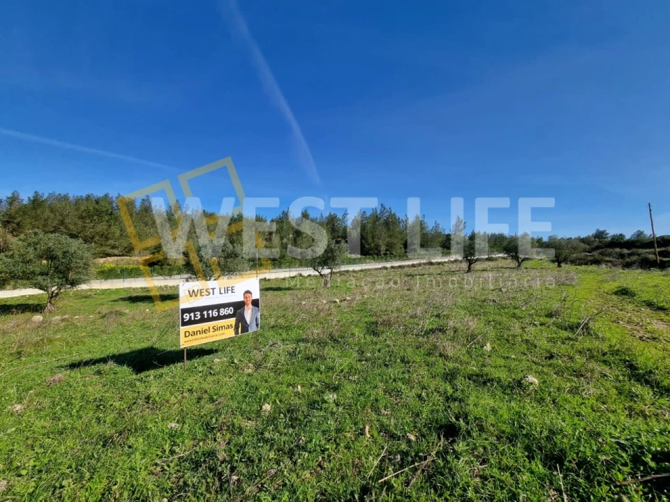 Terreno Agricola ou Rústico para Venda em Milharado Foto 10